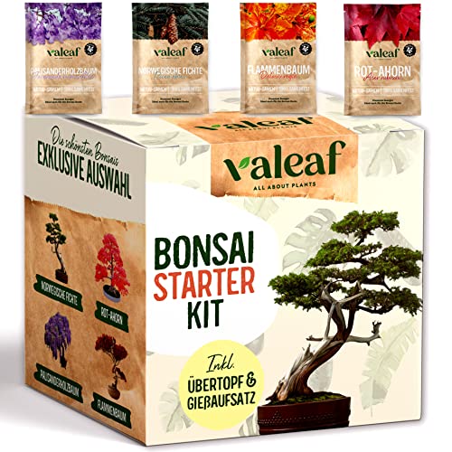 valeaf Kit de iniciación para bonsái, cultiva tu propio árbol bonsái. El juego de cultivo incluye 4 tipos de semillas de bonsái y accesorios, para principiantes, el regalo ideal para plantar árboles
