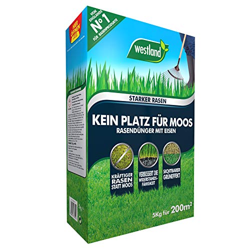 Westland fungicida contra musgo, 5 kg, 200 m² – Abono de césped con hierro para céspedes densos, granulado de césped ideal para el invierno