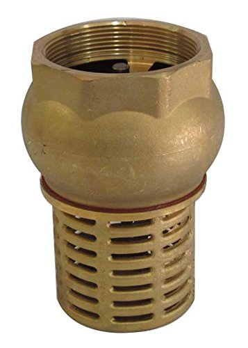 1 1/4"válvula de retención válvula de retención bsp pie femenino de bronce de succión de la bomba
