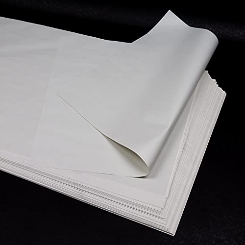 100 hojas (1,2 kg) Papel fino blanco 100% reciclado, 40x60 cm, para envolver regalos, proteger, mudanzas, manualidades, embalaje, relleno, (similar al papel de periódico), 40 g/m²