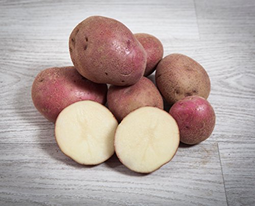 13 kg. Patata Roja / Especial para Guisar y Cocer - Selección Gourmet