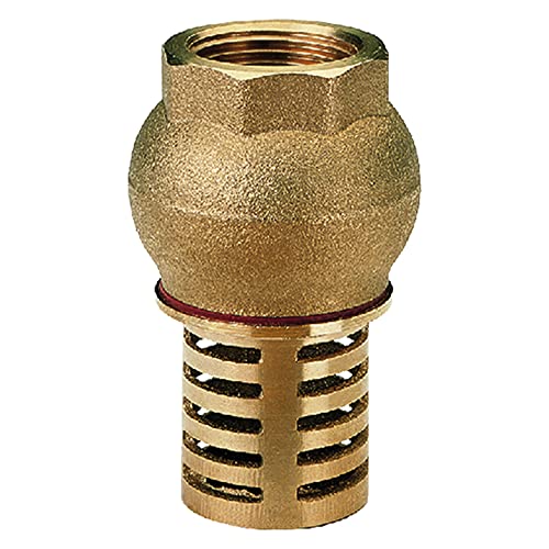 1"válvula de retención válvula de retención bsp pie femenino de bronce de succión de la bomba