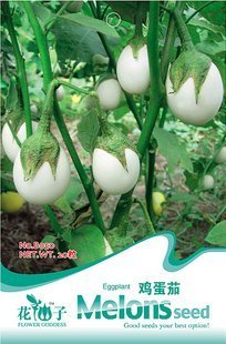 3 Packs 90 de berenjena blanca semillas de plantas hortícolas Semillas B050