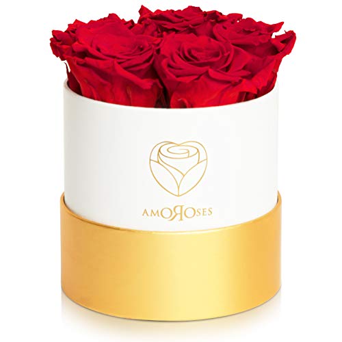 Amoroses Petite - Caja de Regalo 5 Rosas Eternas Estabilizadas - Elegante Ramo de Flores Reales | Idea de regalo (Petite Caja Blanca con Rosas Rojas)