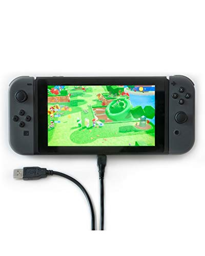 Cable USB tipo C carga rápida - Cable tipo C - Cable USB C / Cable Nintendo Switch y mucho más - Producto con licencia oficial