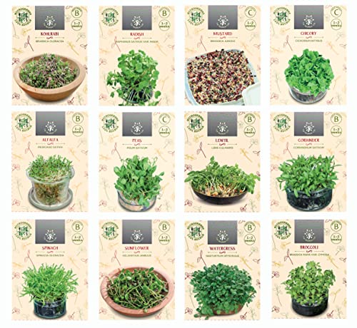 Colección de semillas microverdes de 12 variedades para brotes caseros frescos y nutritivos Activo