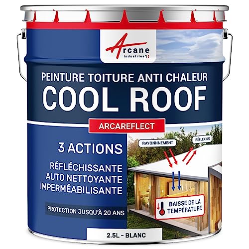 Cool Roof – Pintura para techos blanca reflectante, anticalor, auto limpiador: Arcareflect – 2,5 L – Blanco Arcane IndUSTRIES