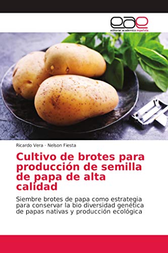 Cultivo de brotes para producción de semilla de papa de alta calidad: Siembre brotes de papa como estrategia para conservar la bio diversidad genética de papas nativas y producción ecológica