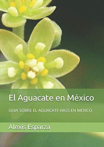 El Aguacate en México: GUIA SOBRE EL AGUACATE HASS EN MEXICO