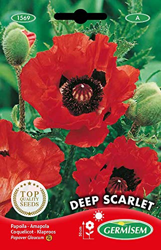 Germisem Deep Scarlet Semillas de Amapola 1 g