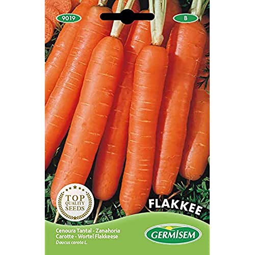 Germisem Flakkee Semillas de Zanahoria 10 g