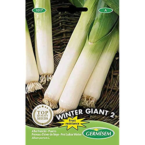 Germisem Winter Giant 2 Semillas de Puerro 4 g