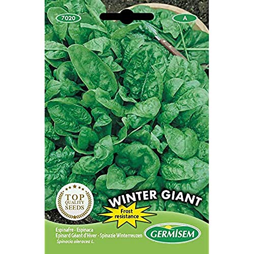 Germisem Winter Giant Semillas de Espinacas 15 g