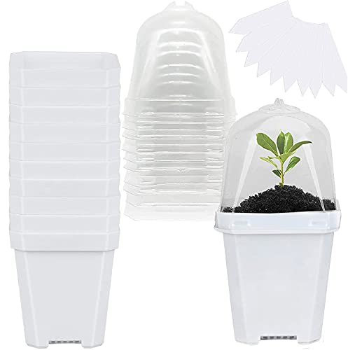 GIONAR 10 macetas de jardín con cúpula de humedad de 7,6 cm, maceta de jardinería de plástico con etiquetas, recipiente pequeño para plantas para plántulas, verduras, suculentas, esquejes