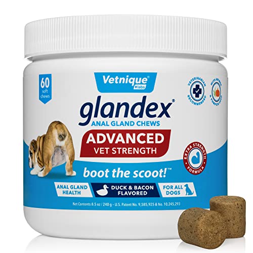 Glandex Advanced Strength Anal Gland Soft Chews con Mega Fibra para Perros, Enzimas Digestivas, Probióticos - Veterinario Recomendado para Arrancar el Scoot Vegan Duck & Bacon… (60ct)