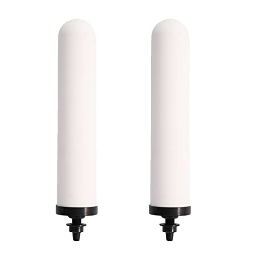 HUINING Paquete de 2 filtros de cerámica de repuesto para sistemas de agua, adecuado para sistemas de filtración de agua en el hogar