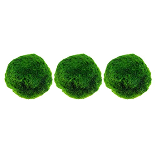 ibasenice 3Pcs Marimo Moss Ball - Juego de Bolas de Acuario Bola Decorativa Verde de Purificación de Agua de Algas Planta Viva Planta Acuática para Acuario Pecera Frasco de Vidrio Kits de