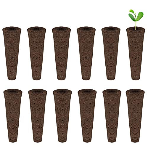 KINBOM 12 Piezas Esponjas de Cultivo, para Hidroponía Seed Starter para Plantar Tapones de Inicio de Semillas para Sistema de Cultivo Hidropónico Interior (5,5cm de Largo)