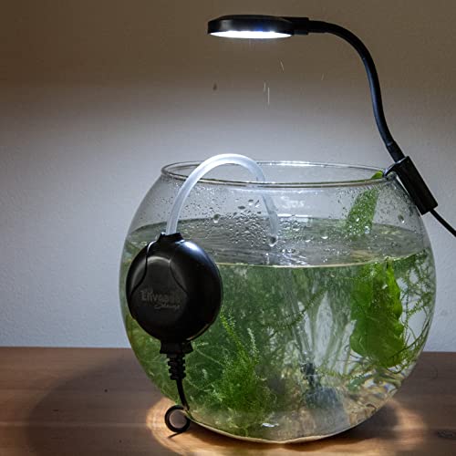 Mini bomba de aire de acuario ultra silenciosa para nano peces camarones aireación de oxígeno ahorro de energía con válvula de retención, piedra de aire, para tanques de pecera Betta de agua dulce de
