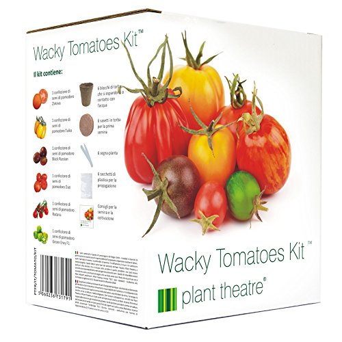 Plant Theatre - Juego de cultivo Wacky Tomatoes Kit con semillas de 6 variedades diferentes de tomate, un regalo ideal