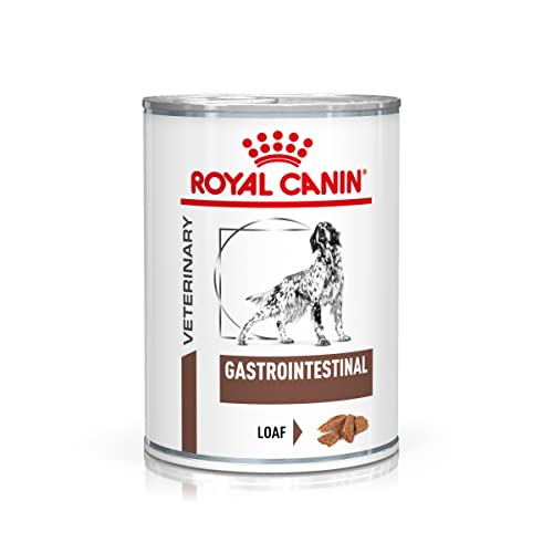 Royal Canin Veterinary Gastrointestinal Mousse | 12 x 400 g | Pienso completo para perros adultos | Para el tratamiento de trastornos agudos de absorción intestinal
