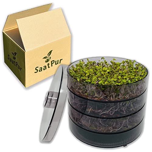 SaatPur Juego de 3 cajas para brotes germinados con tres niveles; caja de germinación, recipiente para germinar, recipiente para germinar, caja para brotes