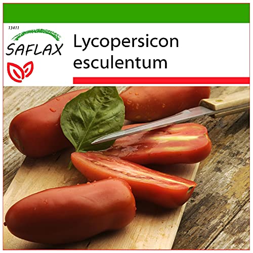 SAFLAX - Tomate -San Marzano - 10 semillas - Con sustrato estéril para cultivo - Lycopersicon esculentum