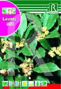 Semilla laurel - Rocalba