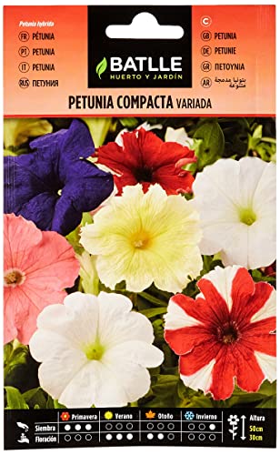 Semillas Batlle - Petunia Compacta VARIADA, Multicolor