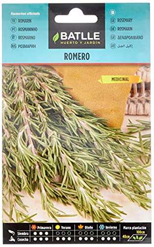 Semillas Batlle Romero - Rosmarinus officinalis