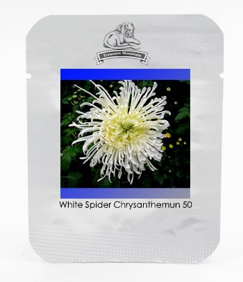 Semillas blanco crisantemo de la araña de flores, Bonsai Paquete Profesional, 50 semillas / Pack # NF971
