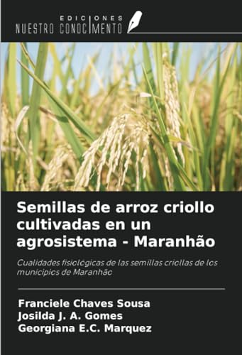Semillas de arroz criollo cultivadas en un agrosistema - Maranhão: Cualidades fisiológicas de las semillas criollas de los municipios de Maranhão
