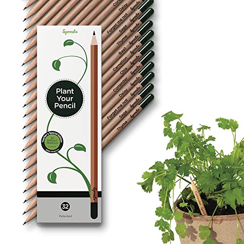 Sprout Edición especial para profesores: Lápices plantables grafito, con semillas cultivables, en madera respetuosa con el medio ambiente | Paquete de 32 | Set de regalo con hierbas y flores