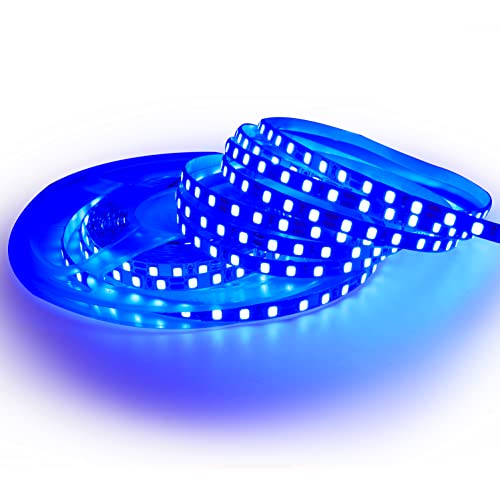 Tesfish Tira de Luz LED 12V, 5mm de Ancho Azul Color 5M Tiras de Luces LED 2835 IP20 120 LEDs/M 600 LEDs en Total, Tiras LED para Dormitorio, Decoración de Cocina
