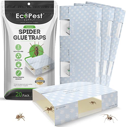 Trampa para Arañas – Paquete de 20 | Trampas Adhesivas para Interiores para Arañas y Otros Insectos | Trampas de Pegamento para Arañas