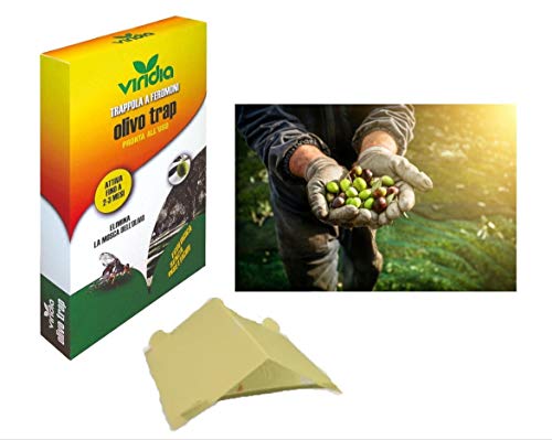 Viridia Trampa de insectos biológico voladores adhesivo mosca del olivo olivo para frutas y huertos, trampa para avispas, trampa para frenos, trampa mosca de frutos, trampa para moscas de olivos