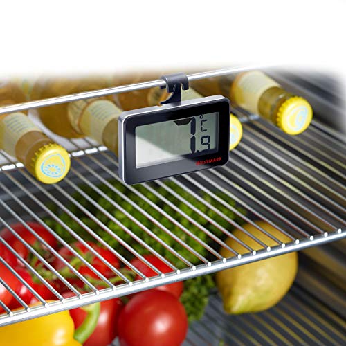 Westmark Termómetro digital de refrigerador, Para medir la habitación o el refrigerador, Plástico/vidrio, Plata/negro, 52152280