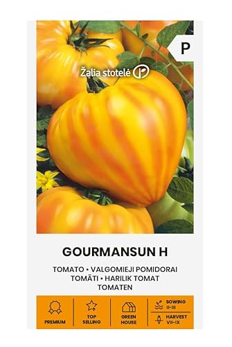 Zalia stotele | TOMATE - GOURMANSUN H Semillas | Semillas de Hortalizas | Semillas Tomate | semillas de plantas | semillas de jardín | 1 paquete