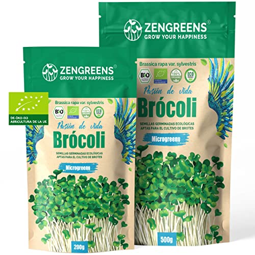ZenGreens® - Semillas de brócoli ecológico - Elija entre 200g y 500g - brotes de cime di rapa - germinación de más del 97% - Microgreens
