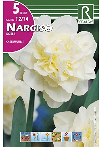 BULBO DE OTOÑO NARCISO DOBLE CHEERFULNESS BLANCO - 5 UD